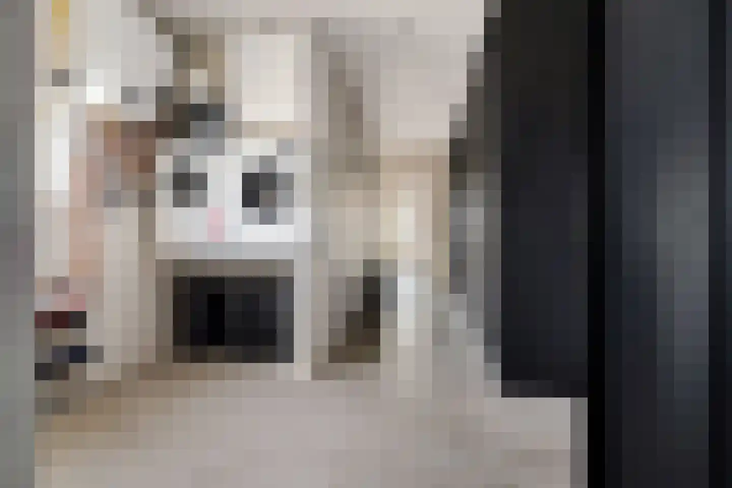 Meentweg 43 Kootwijkerbroek thumbnail 5