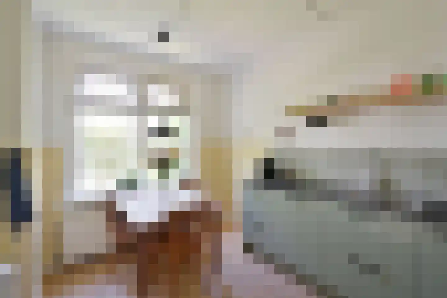 Meentweg 46 a Huizen thumbnail 6