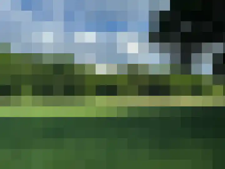 Meentweg 55 Blaricum thumbnail 30