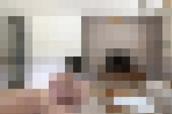 Meentweg 55 Blaricum thumbnail 6