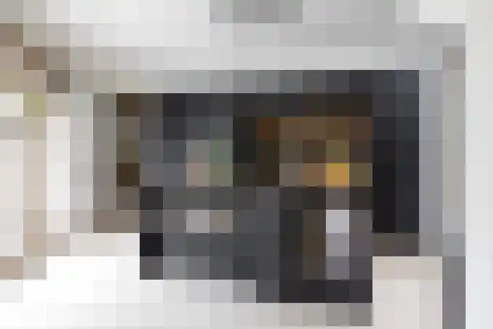 Meentweg 55 Blaricum thumbnail 9