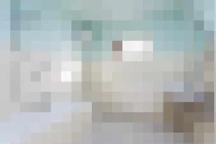 Meentweg 59 De Meern thumbnail 24
