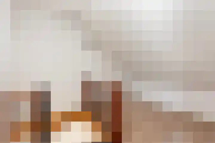 Meentweg 59 De Meern thumbnail 28