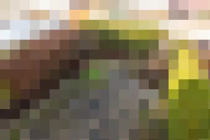 Meentweg 59 De Meern thumbnail 33