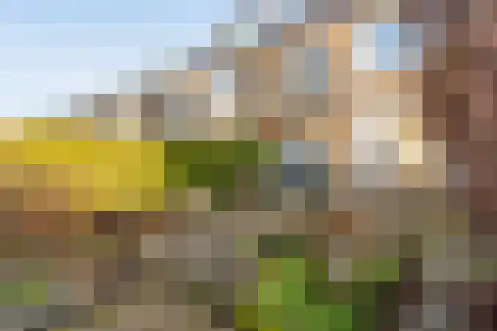 Meentweg 59 De Meern thumbnail 36