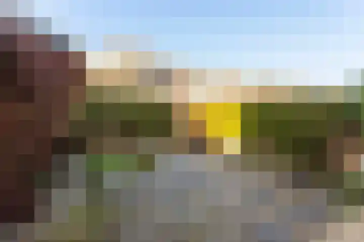 Meentweg 59 De Meern thumbnail 37