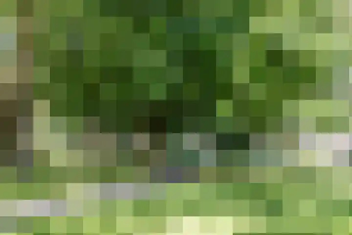 Meentweg 59 De Meern thumbnail 51