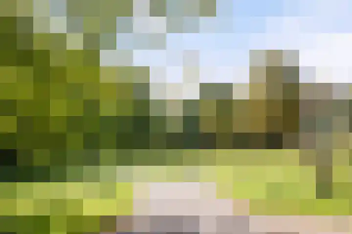 Meentweg 59 De Meern thumbnail 52