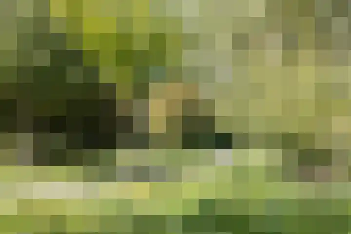 Meentweg 59 De Meern thumbnail 53