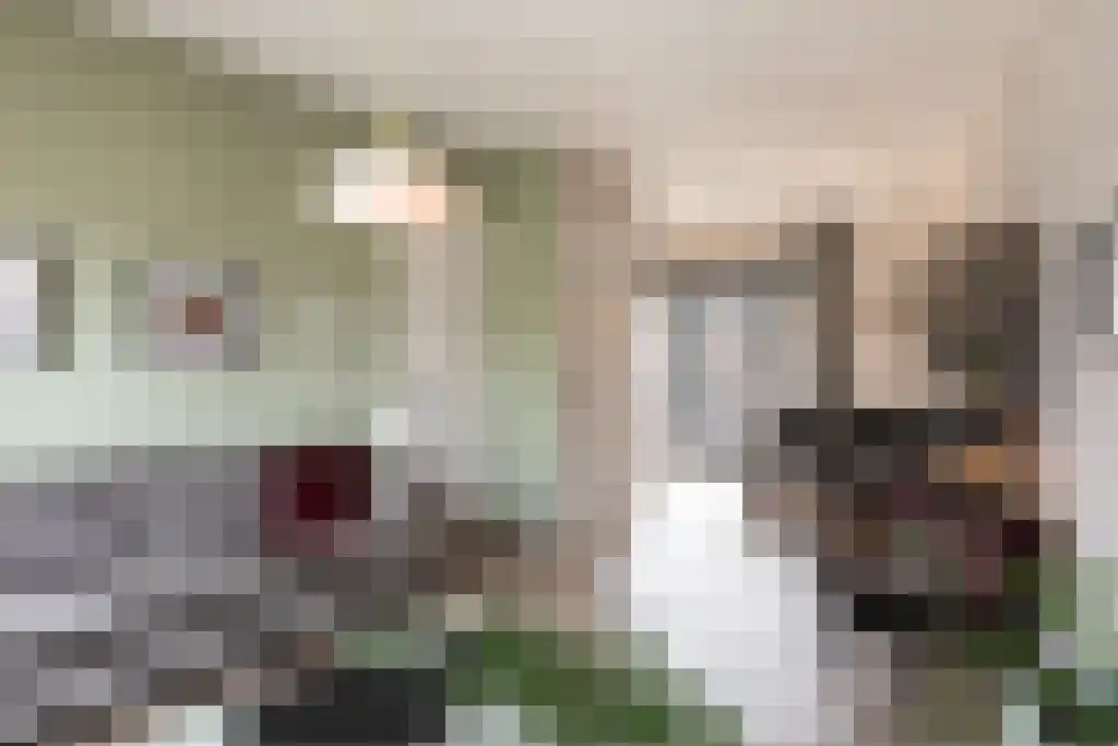 Meentweg 6 Bussum thumbnail 4