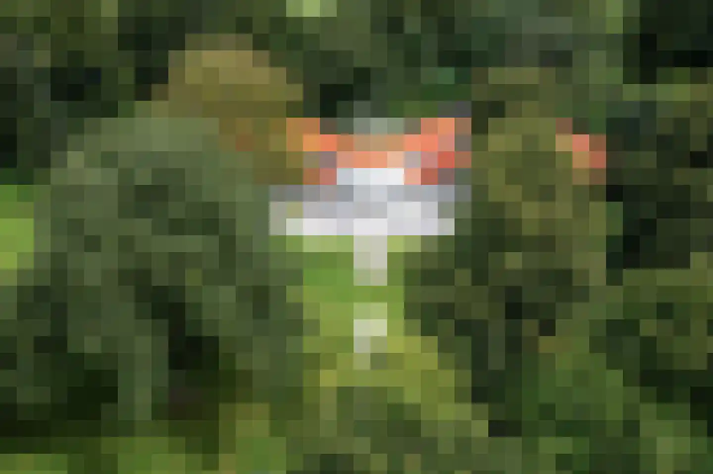 Meentweg 6 Naarden thumbnail 4