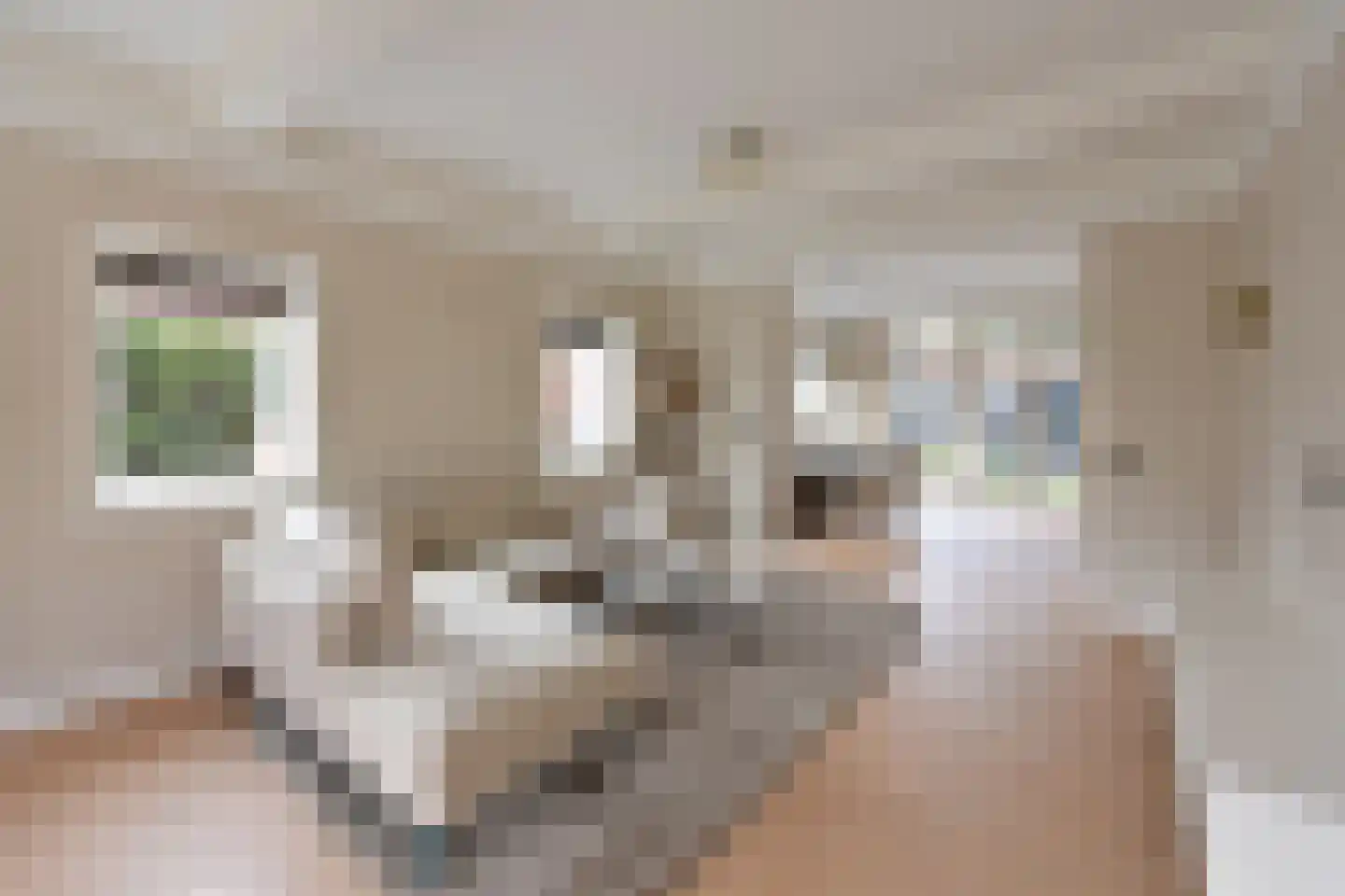 Meentweg 62 Bussum thumbnail 8