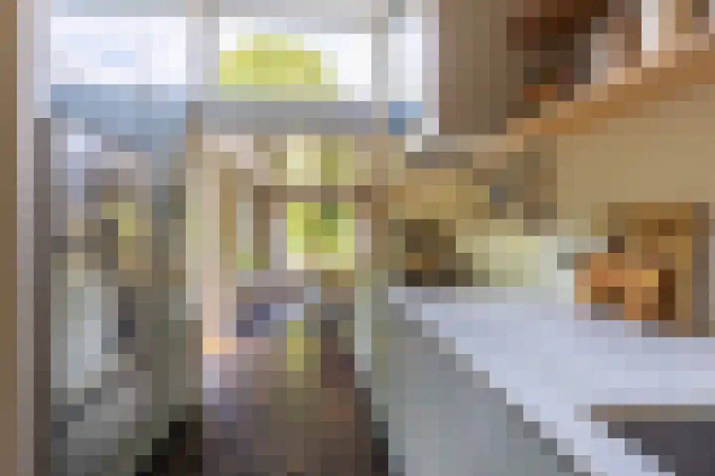 Meentweg 68 Bussum thumbnail 22