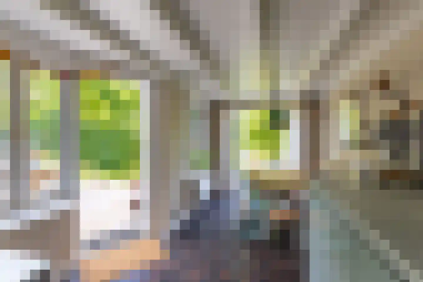 Meentweg 68 Bussum thumbnail 24