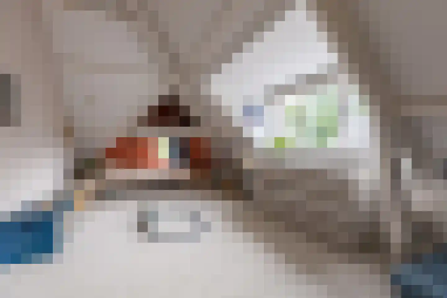 Meentweg 68 Bussum thumbnail 43