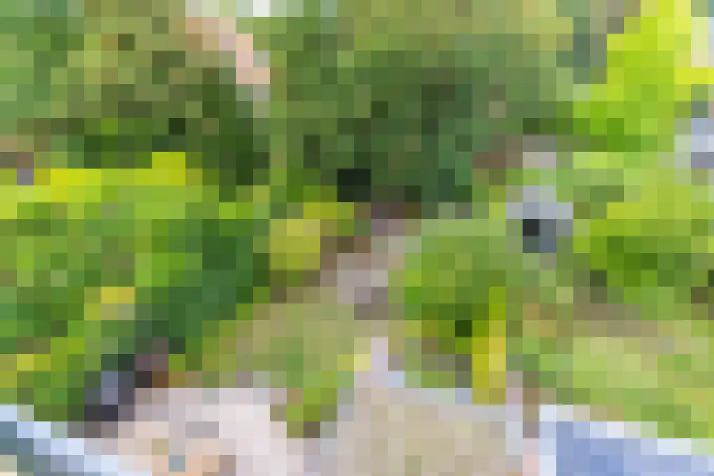 Meentweg 68 Bussum thumbnail 49