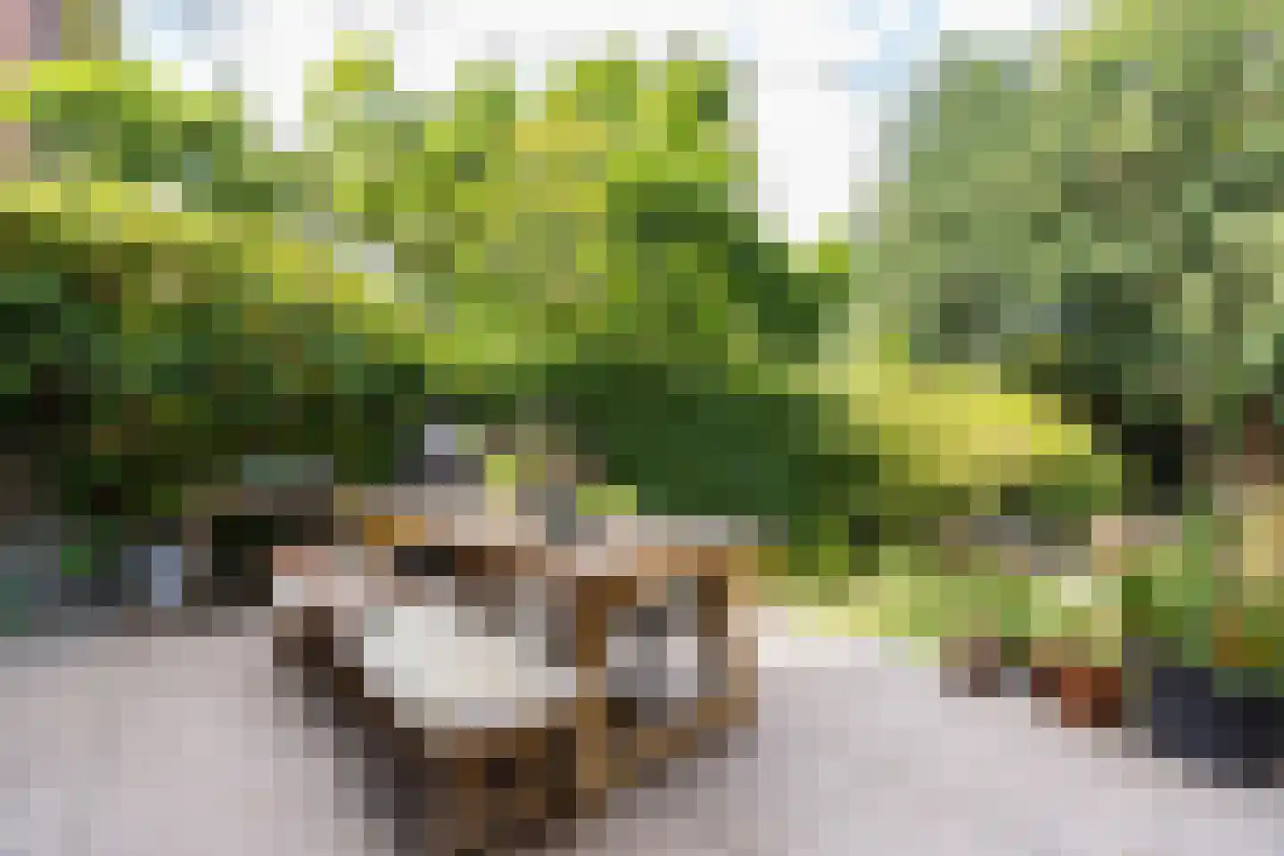 Meentweg 68 Bussum thumbnail 54