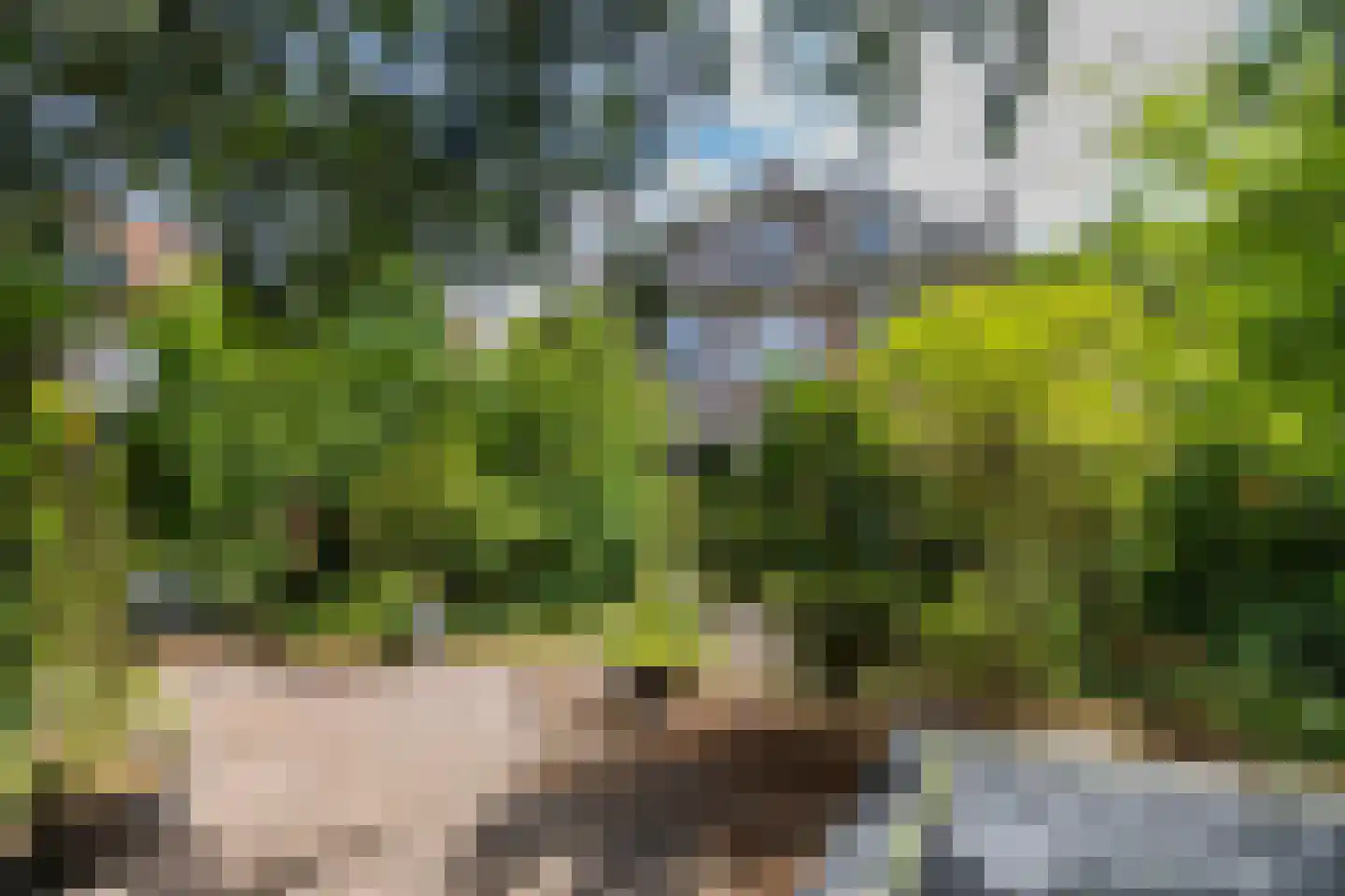 Meentweg 68 Bussum thumbnail 57