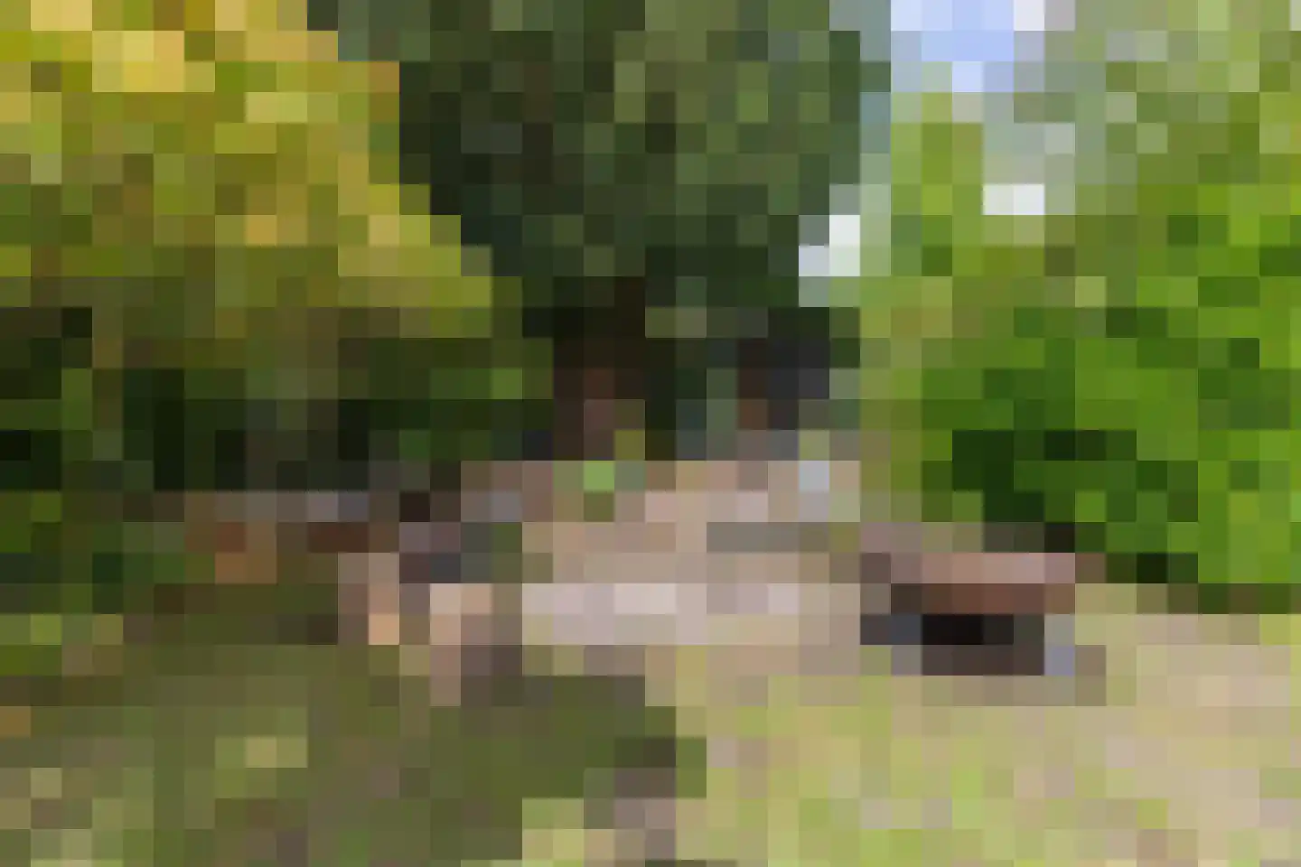 Meentweg 68 Bussum thumbnail 58