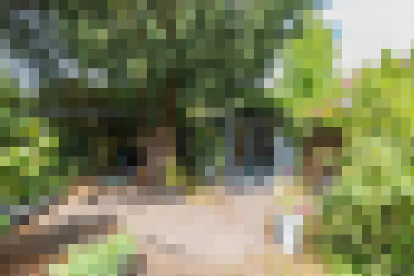 Meentweg 68 Bussum thumbnail 59