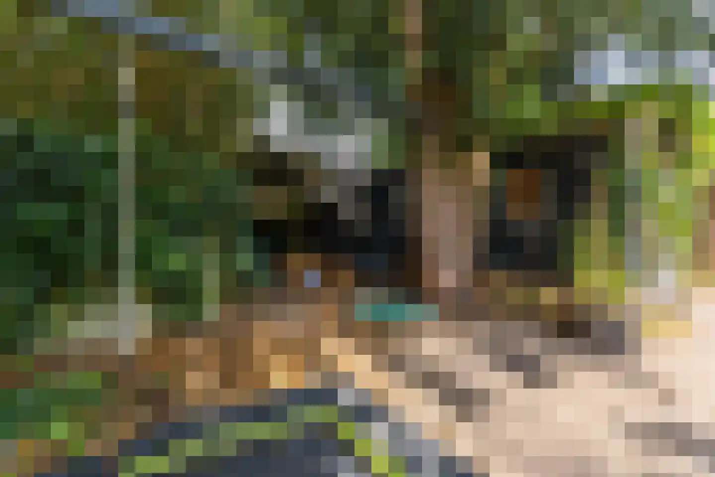 Meentweg 68 Bussum thumbnail 60