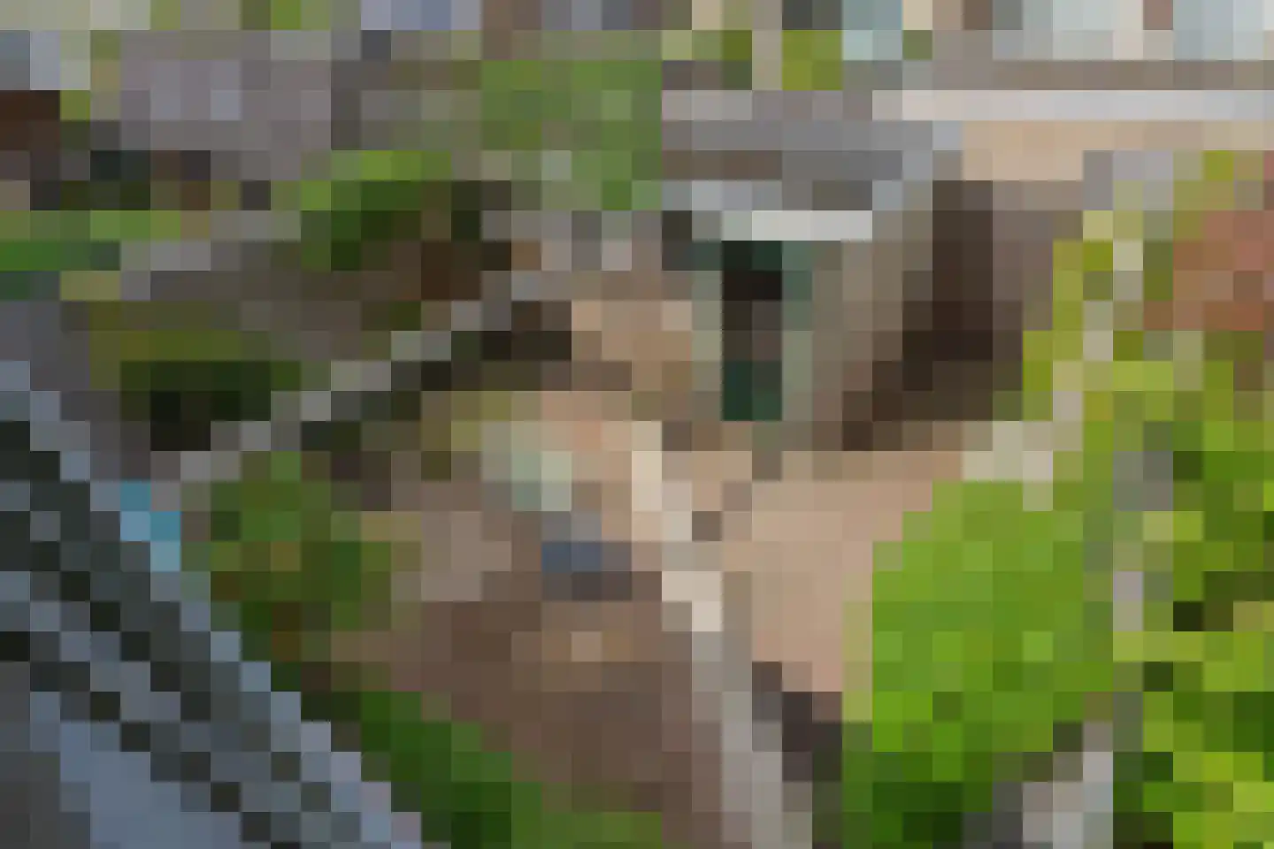 Meentweg 77 De Meern thumbnail 24