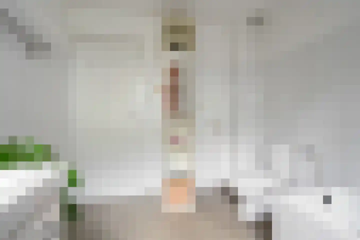 Meentweg 77 De Meern thumbnail 27