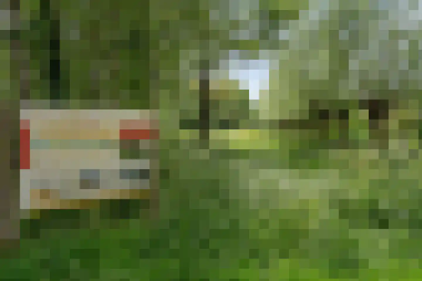 Meentweg 77 De Meern thumbnail 35