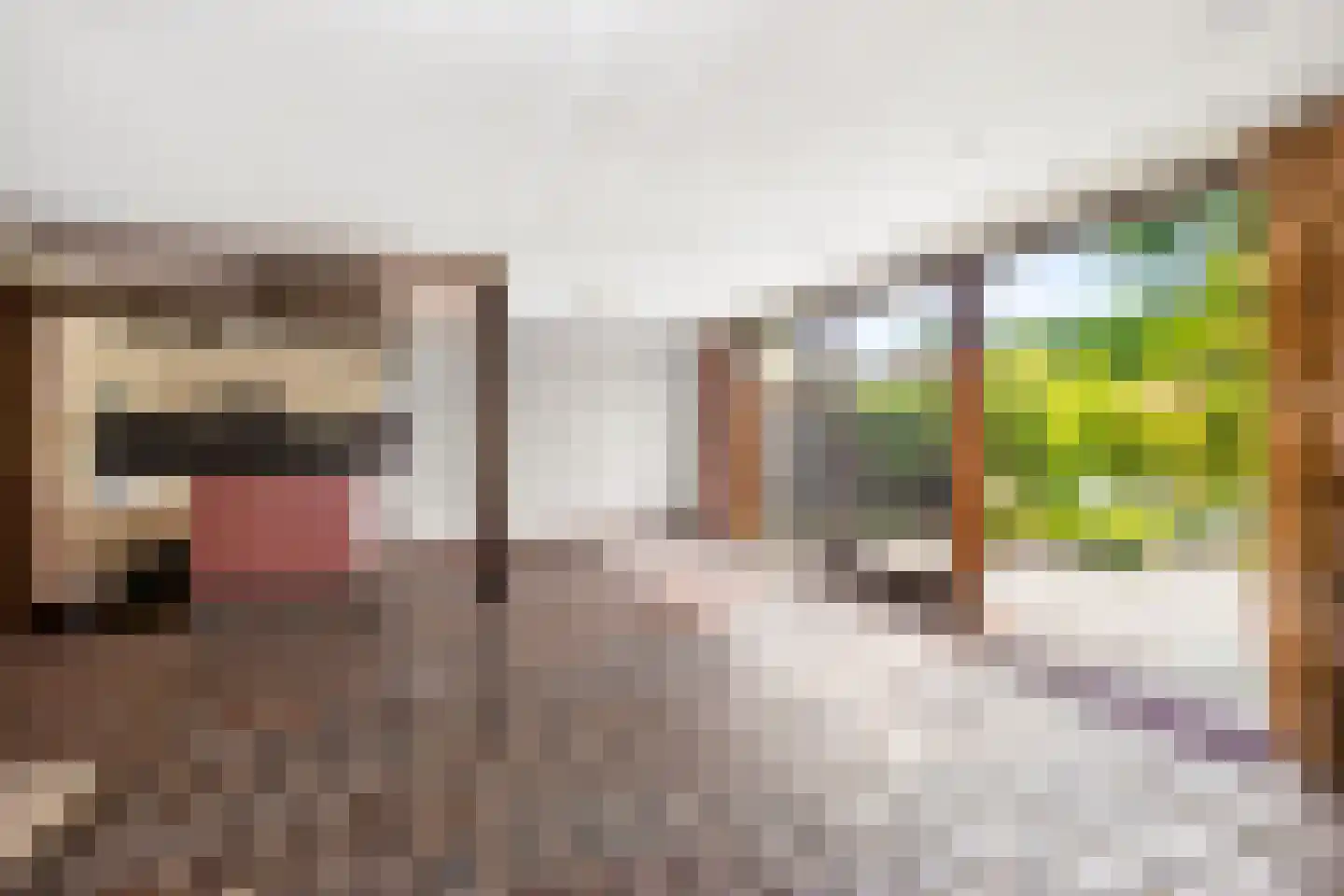 Meentweg 84 De Meern thumbnail 11
