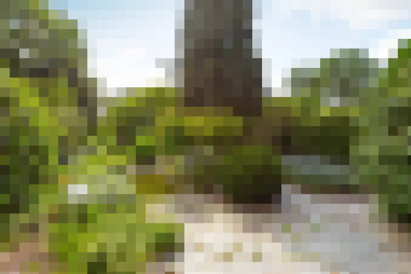Meentweg 84 De Meern thumbnail 12