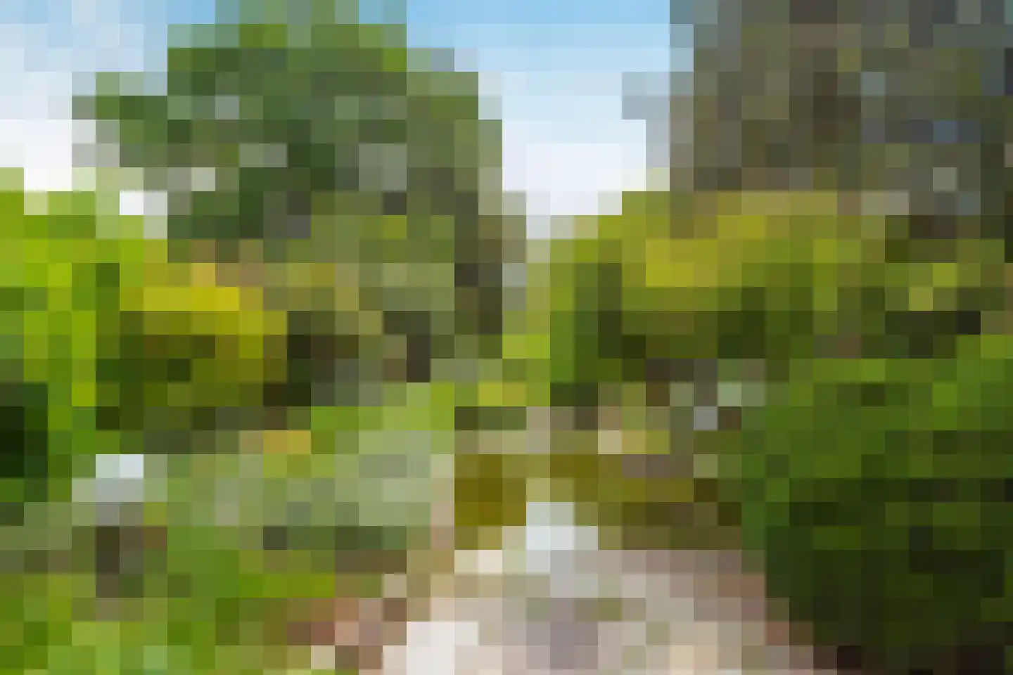 Meentweg 84 De Meern thumbnail 13