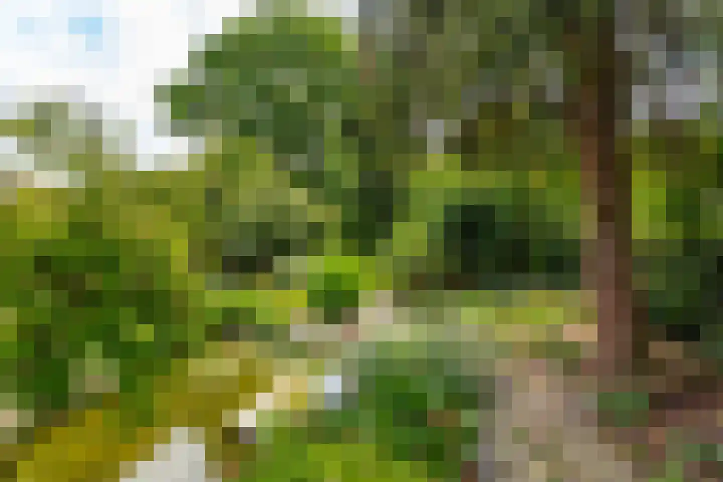Meentweg 84 De Meern thumbnail 14
