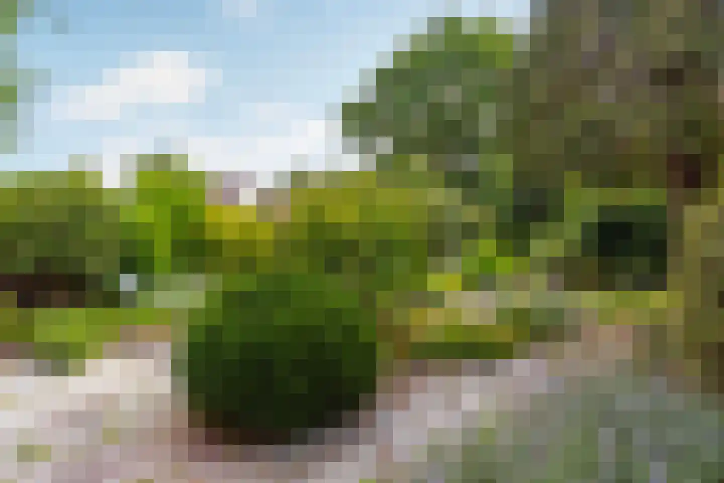 Meentweg 84 De Meern thumbnail 15