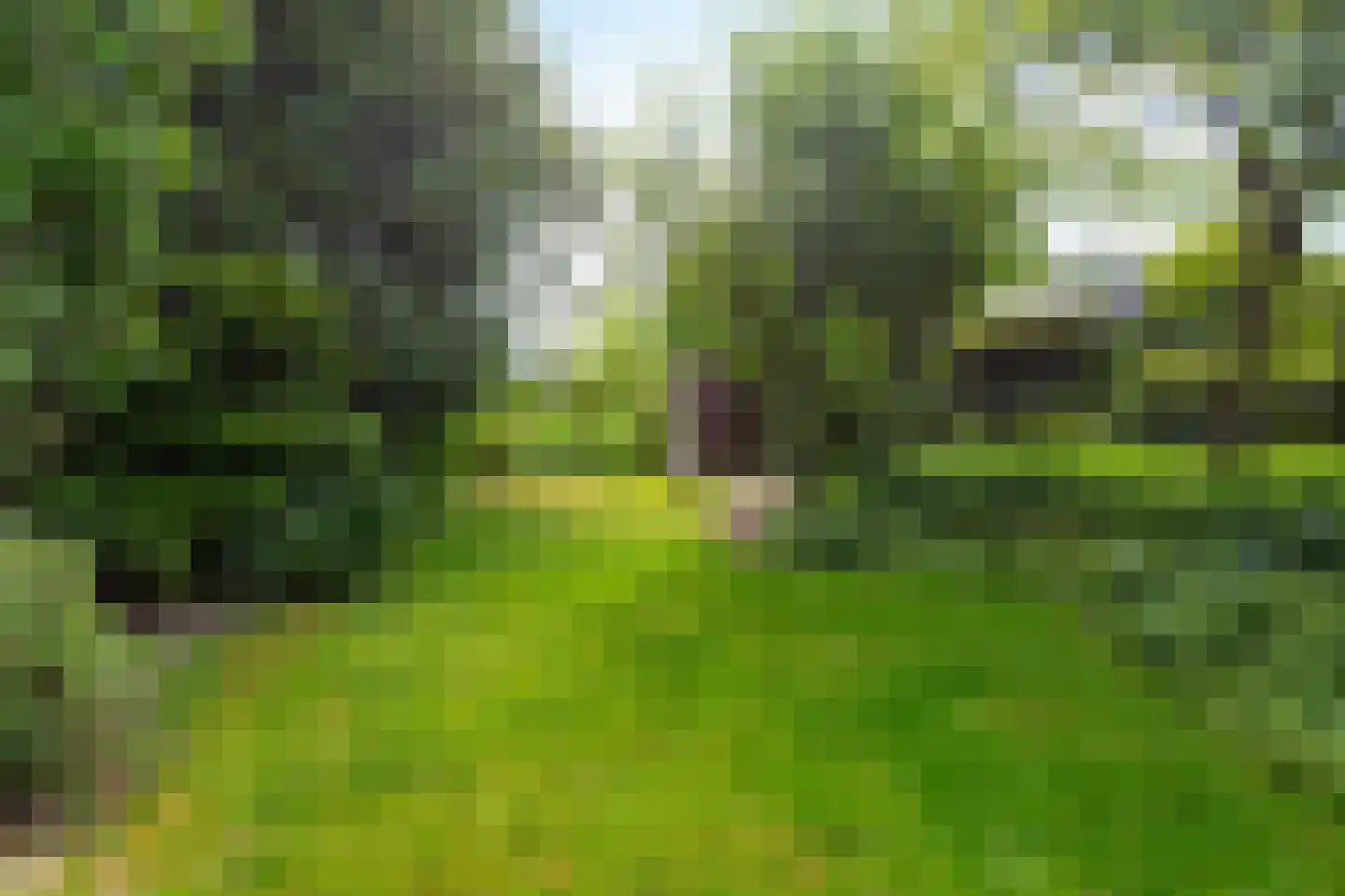 Meentweg 84 De Meern thumbnail 16