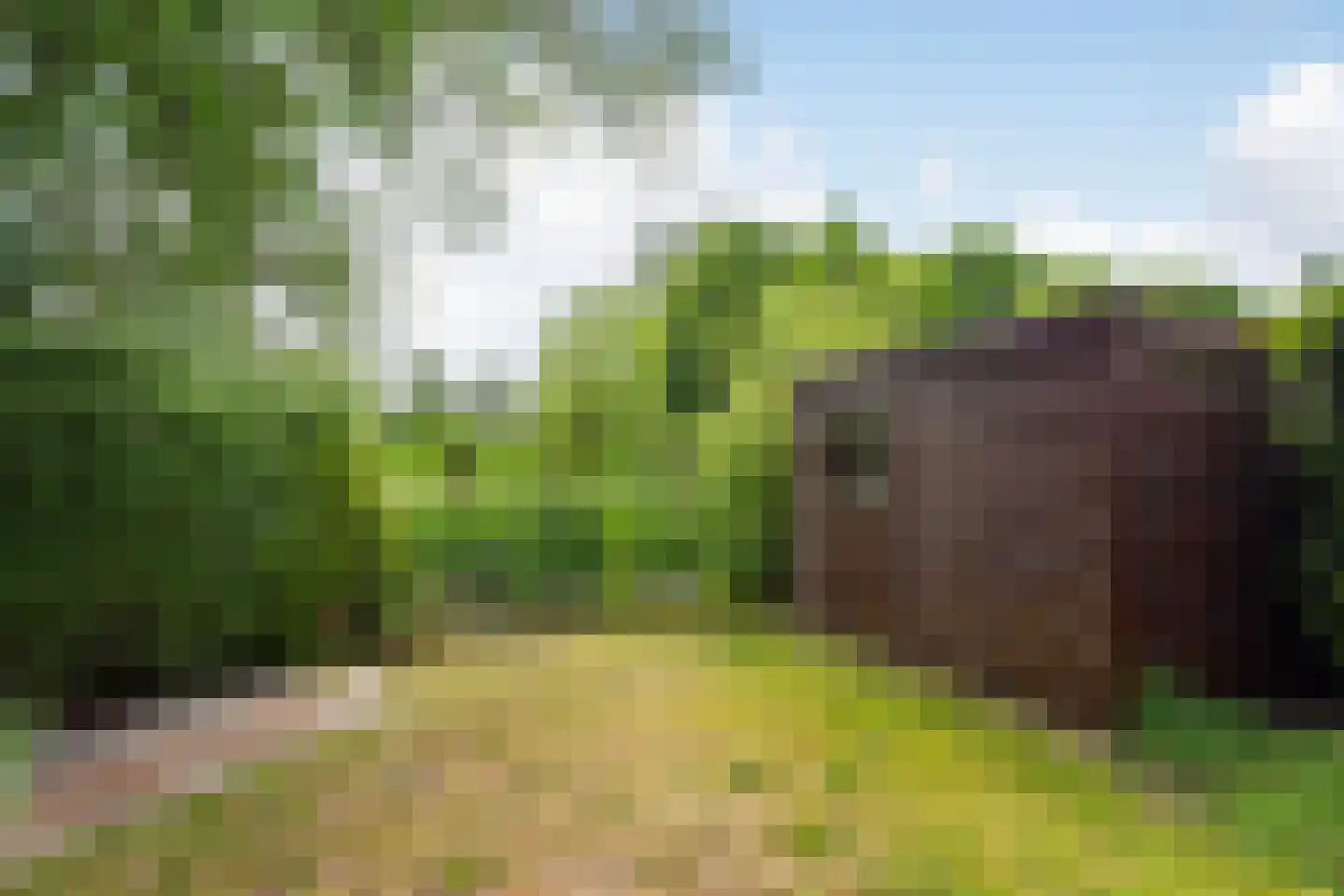 Meentweg 84 De Meern thumbnail 17
