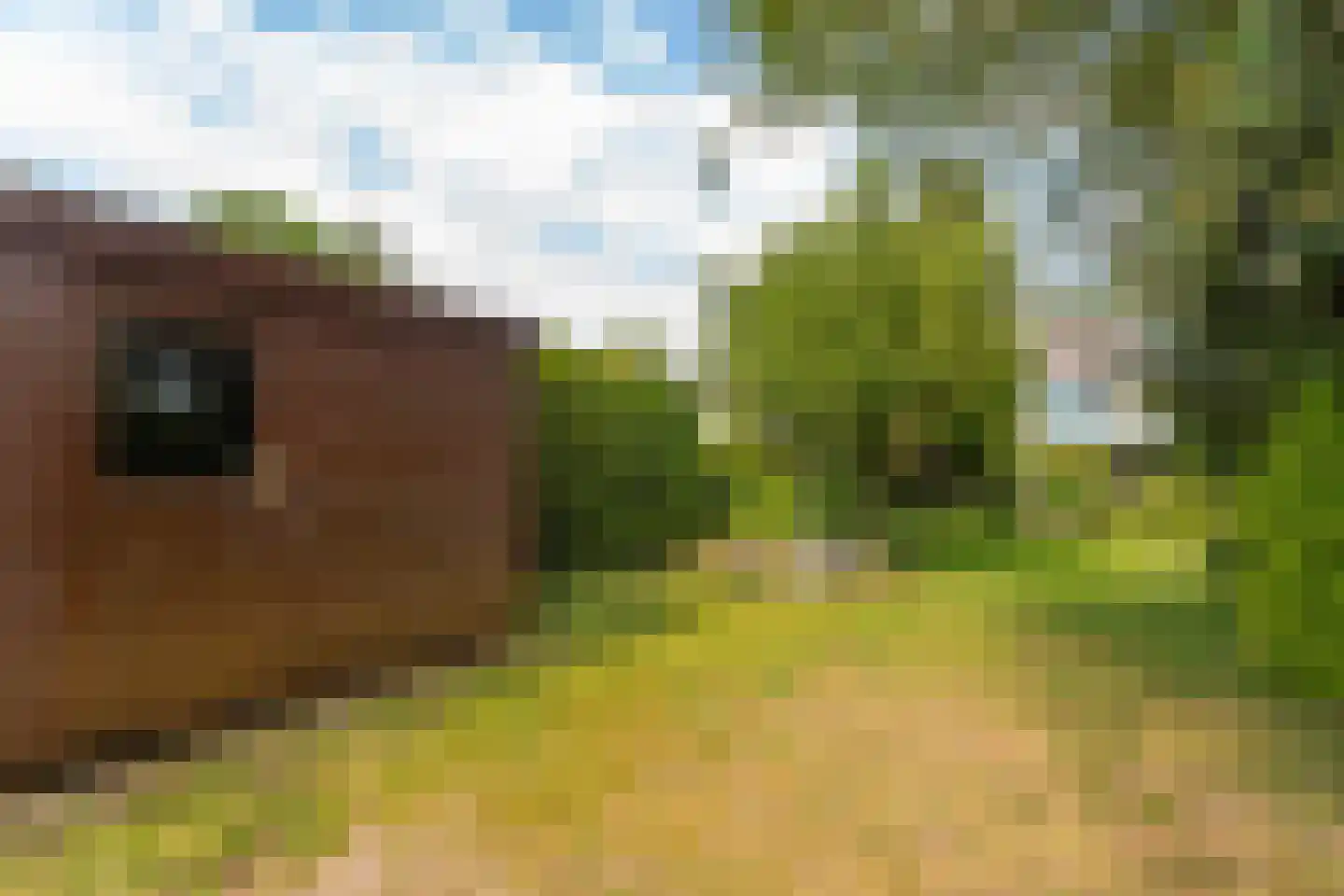 Meentweg 84 De Meern thumbnail 18