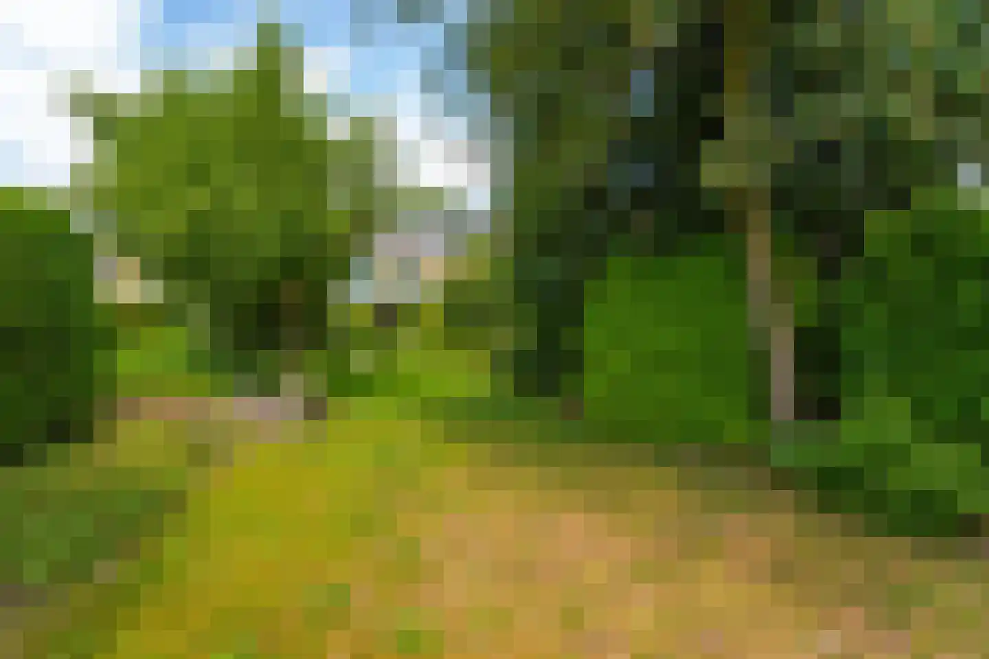 Meentweg 84 De Meern thumbnail 19