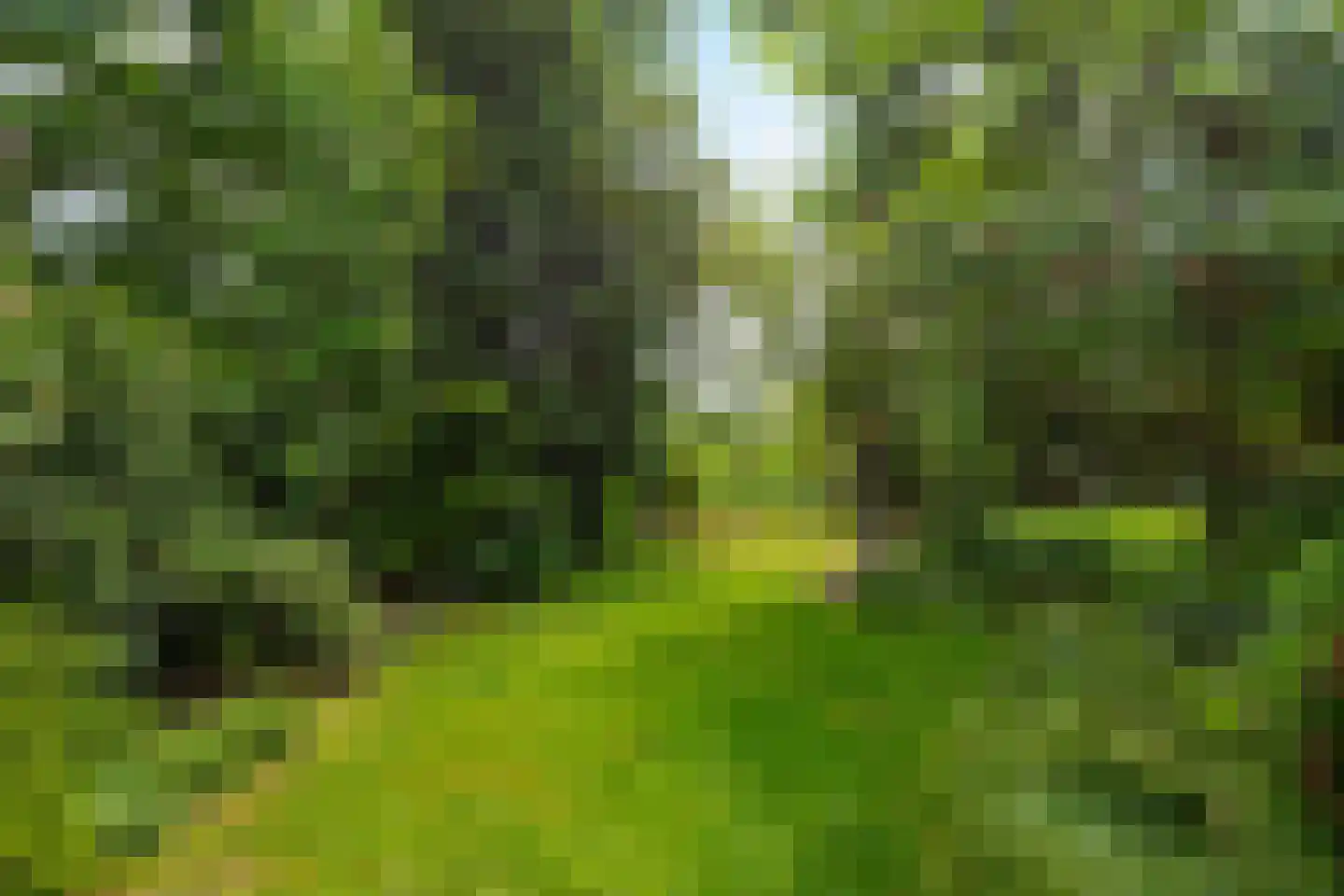 Meentweg 84 De Meern thumbnail 22
