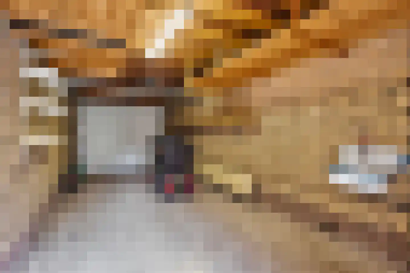 Meentweg 84 De Meern thumbnail 44