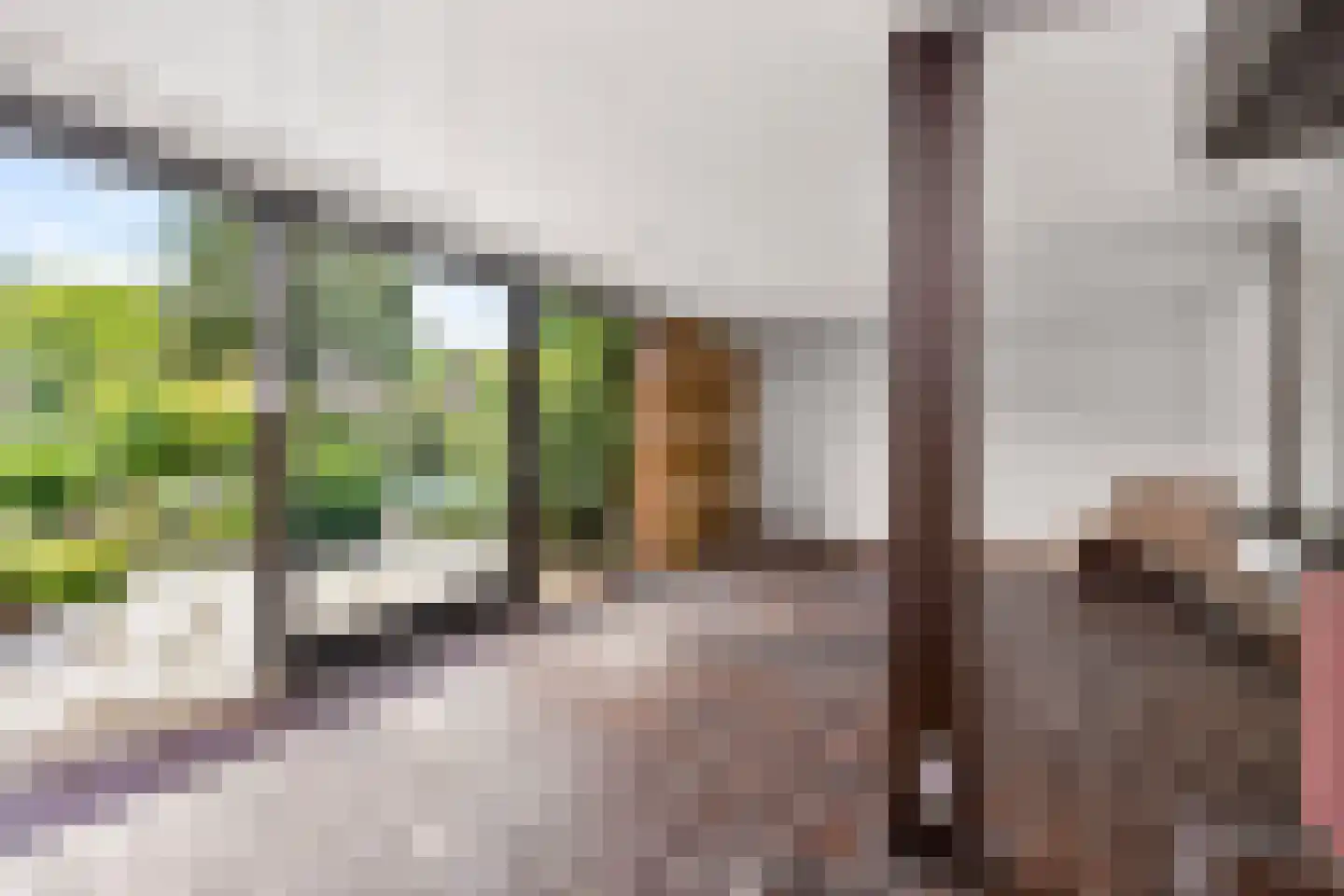 Meentweg 84 De Meern thumbnail 9