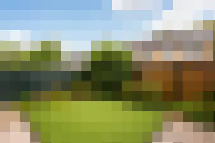 Meentweg 87 De Meern thumbnail 15