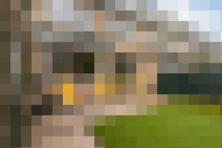 Meentweg 87 De Meern thumbnail 17