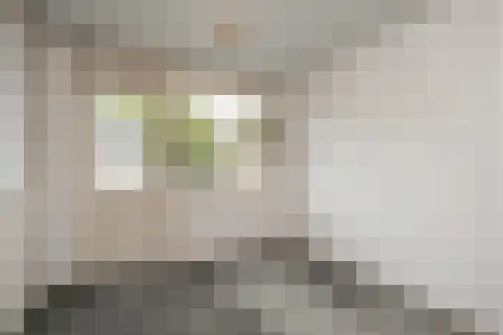 Meentweg 87 De Meern thumbnail 24