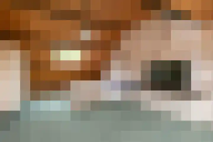 Meentweg 87 De Meern thumbnail 29