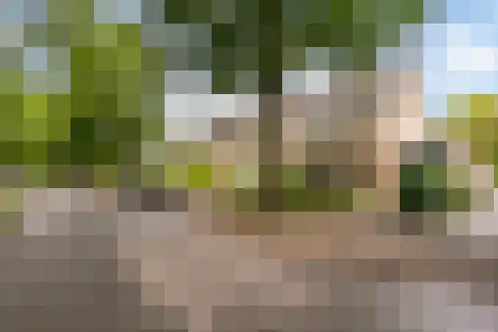 Meentweg 87 De Meern thumbnail 4