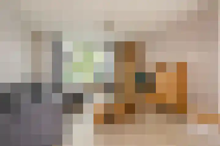 Meentweg 87 De Meern thumbnail 6