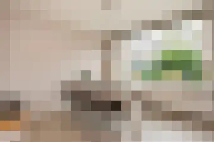 Meentweg 87 De Meern thumbnail 9