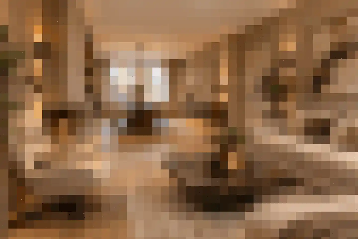 Meentweg 89 De Meern thumbnail 10