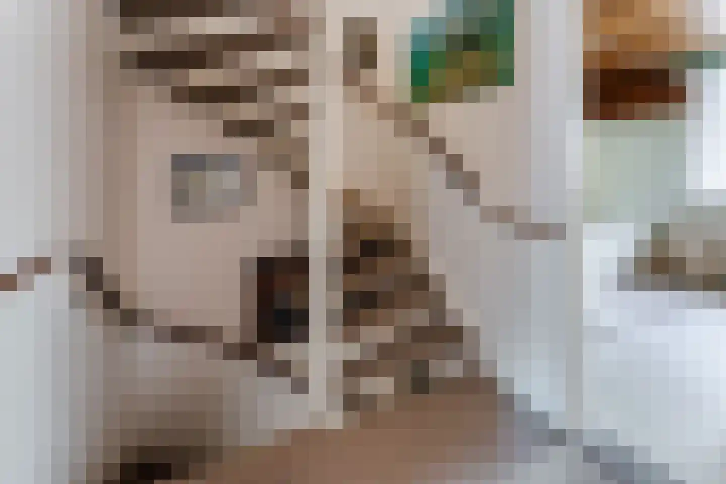 Meentweg 89 De Meern thumbnail 17
