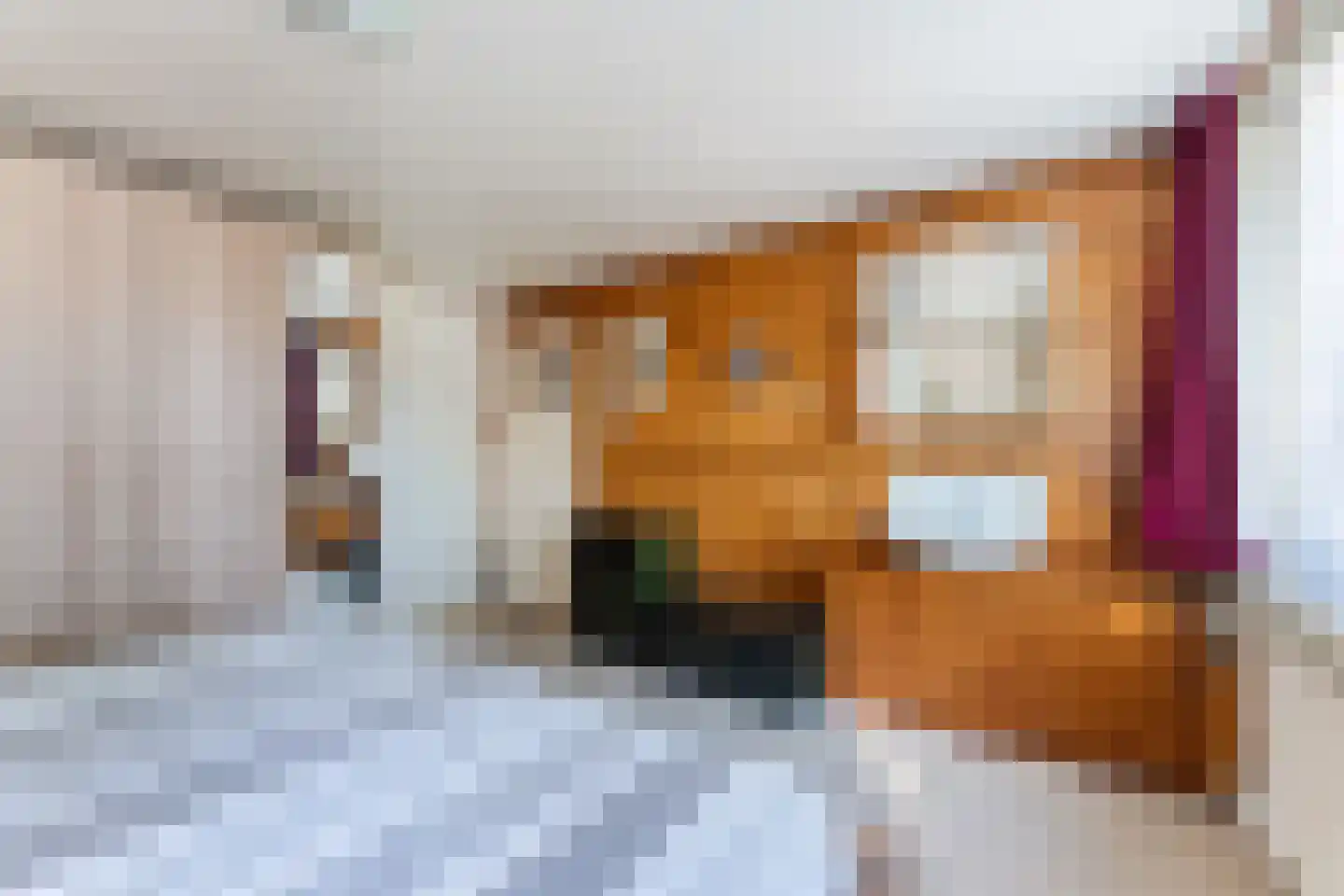 Meentweg 89 De Meern thumbnail 20